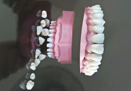 HPP+3DŲ